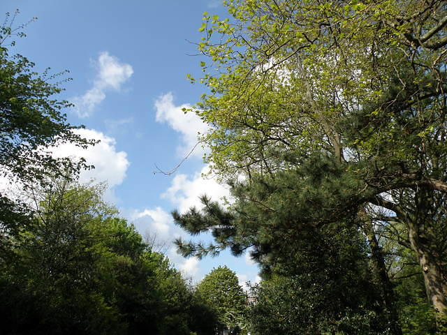 P5122093