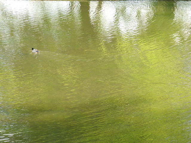 P5122101