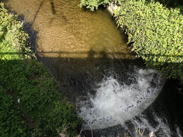 P5162508