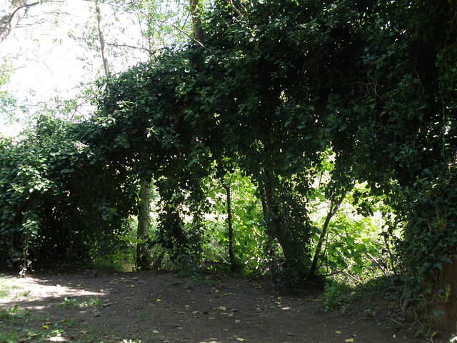 P5162516