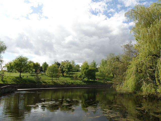 P5162593