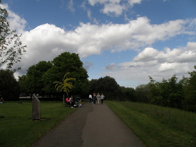 P5162642