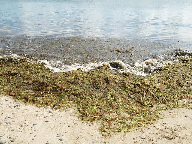 P7110006