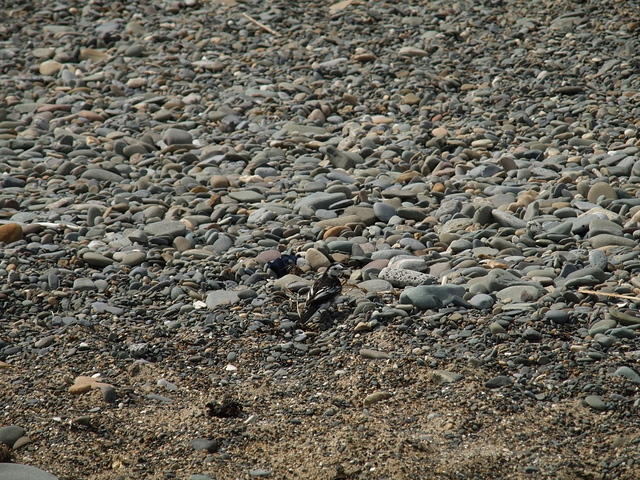 P7110033