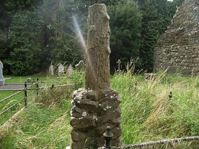 P7170125