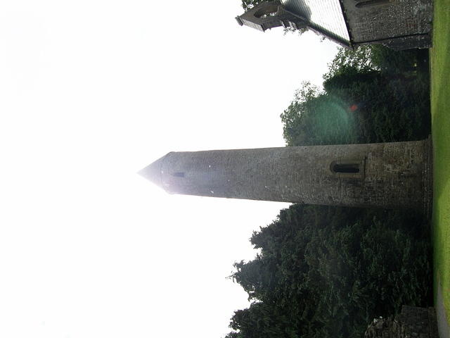 P7170134