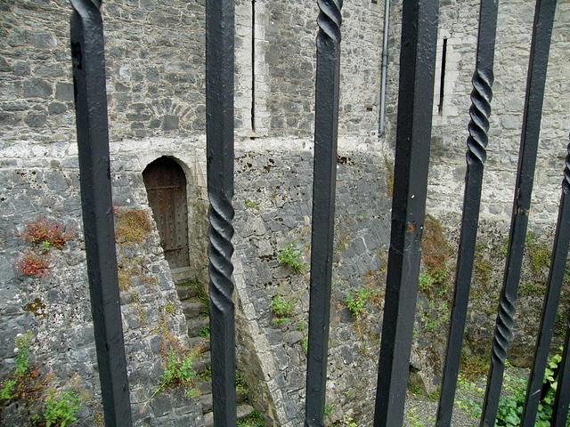P7170164