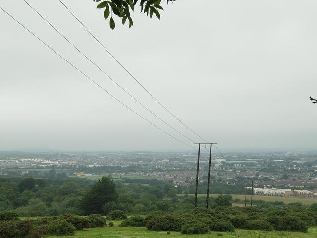 P7250005