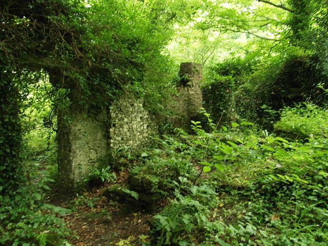 P7250007