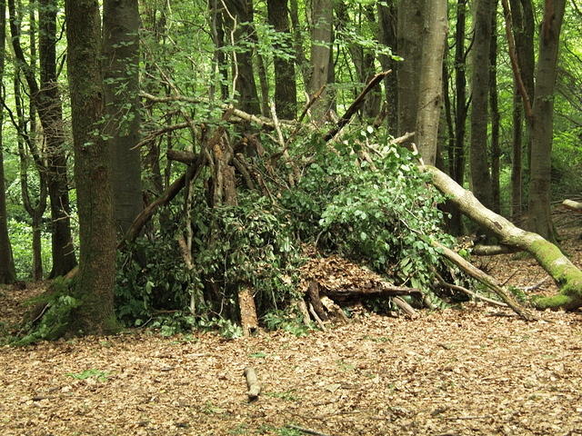 P7250014
