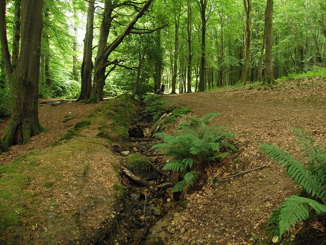 P7250016
