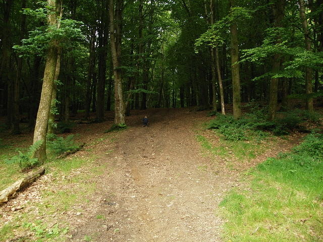 P7250021.1
