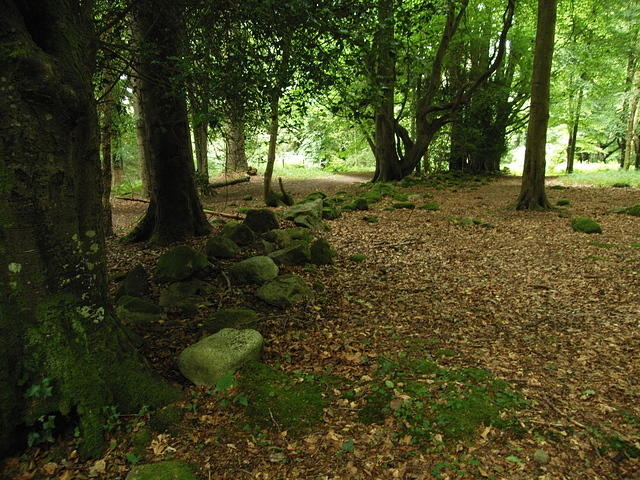 P7250025