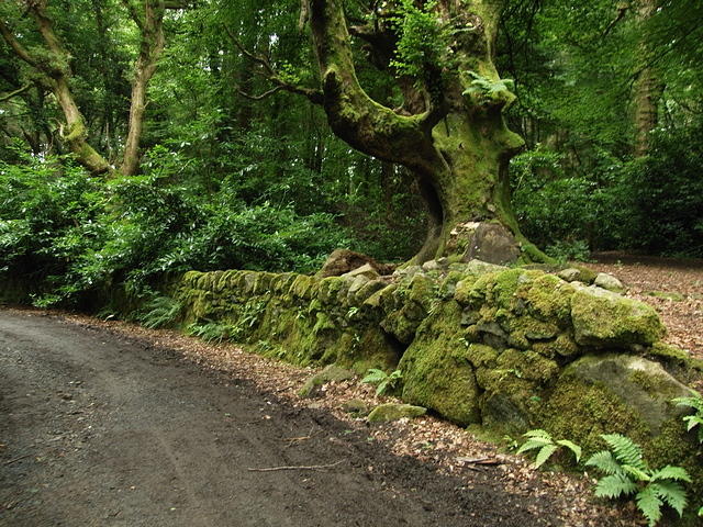 P7250026