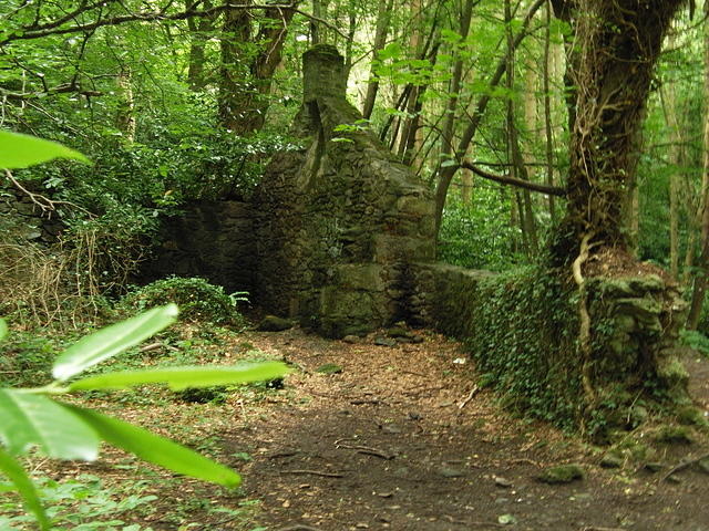 P7250030