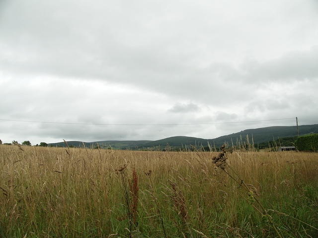 P7250044.1