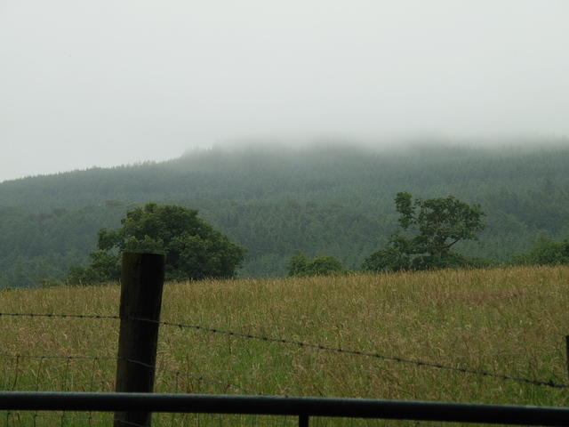 P7250055