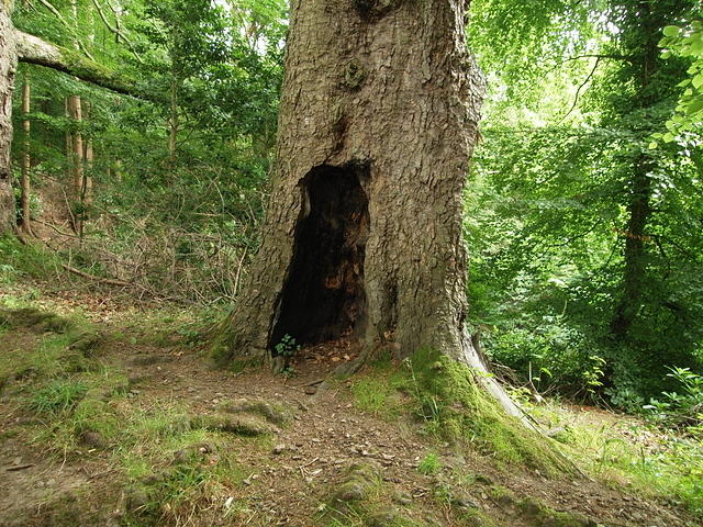 P7250058