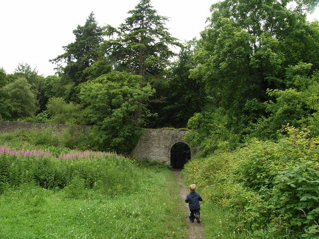 P7250064