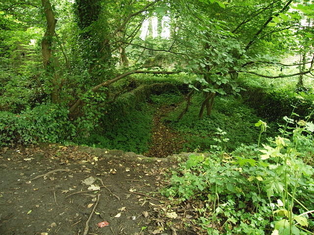 P7250069