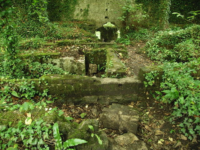 P7250070
