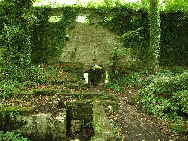 P7250071