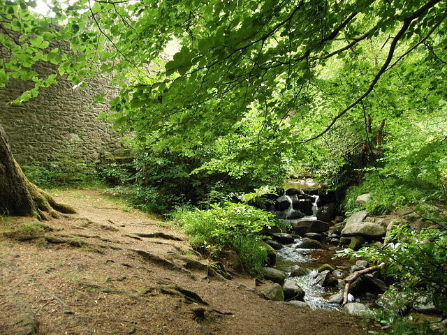 P7250075