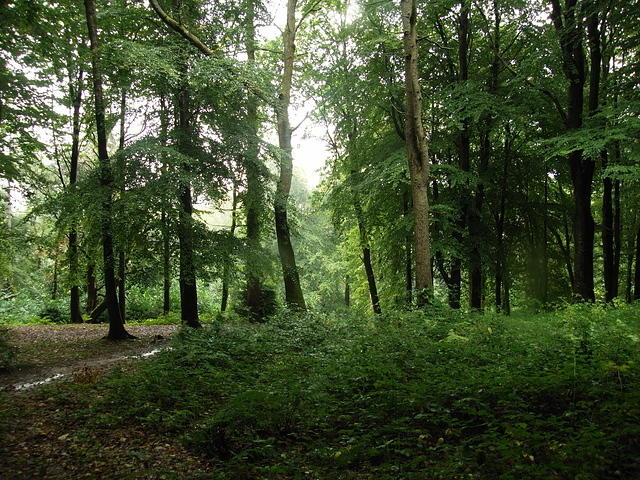 P9191503