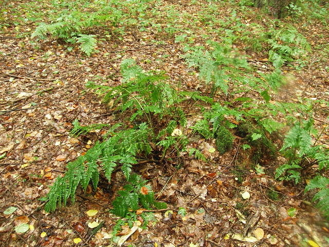 P9191560