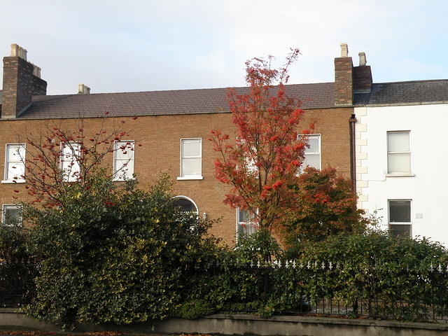 PB060361