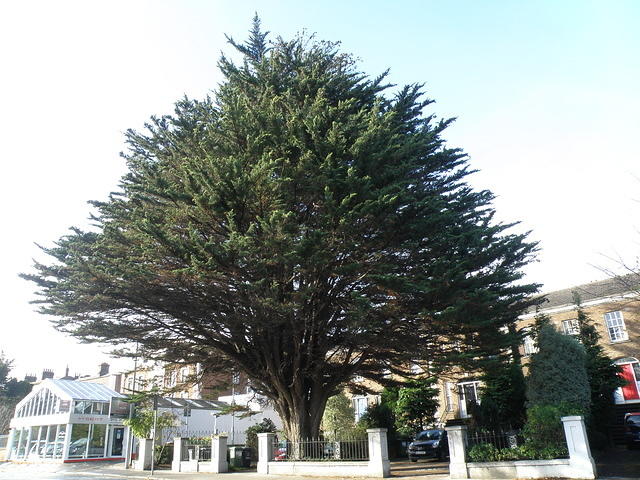 PB060365