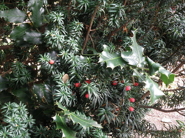 PB060374