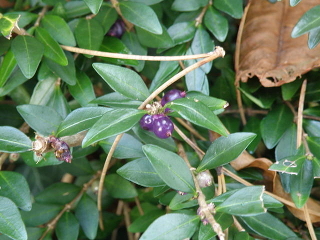 PB060406