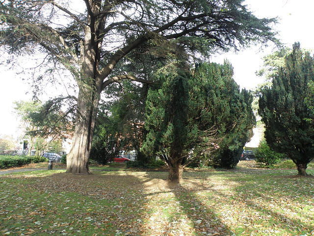 PB060407