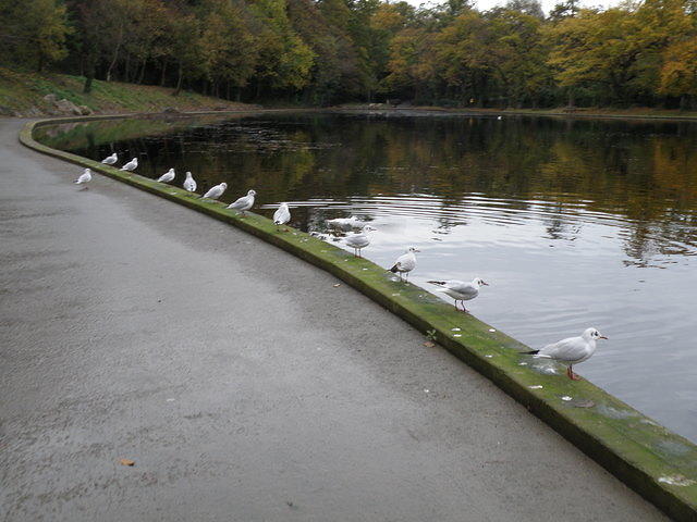 PB130658
