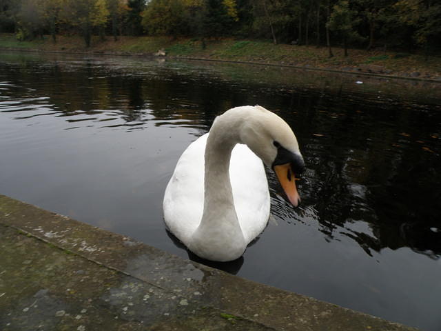 PB130679 206917