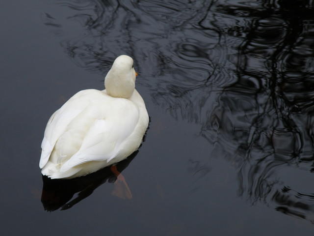 PB130692