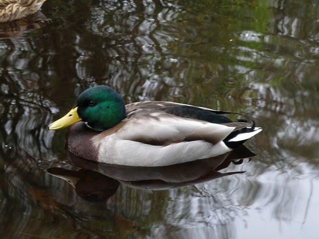PB130696