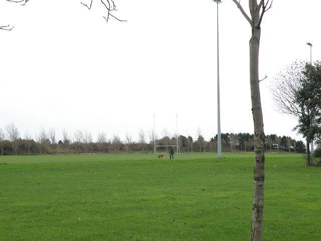 PC010015