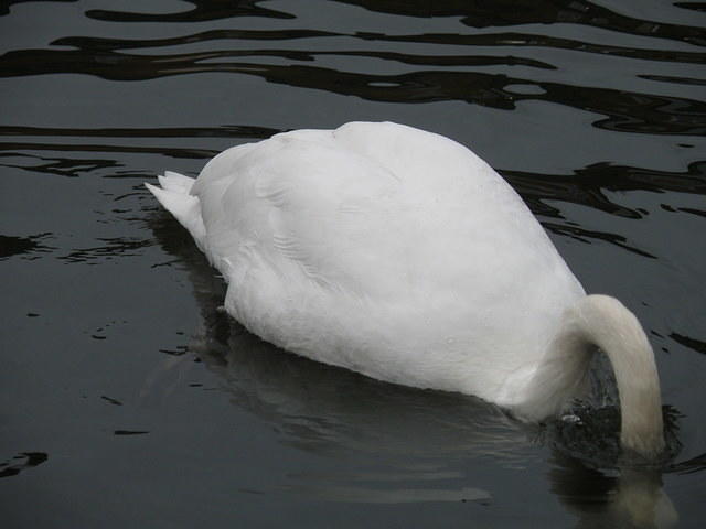PC040084