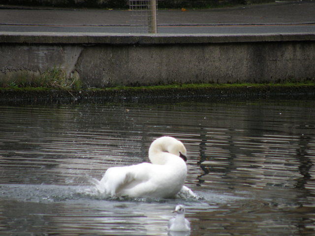 PC040088