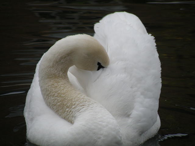 PC040096