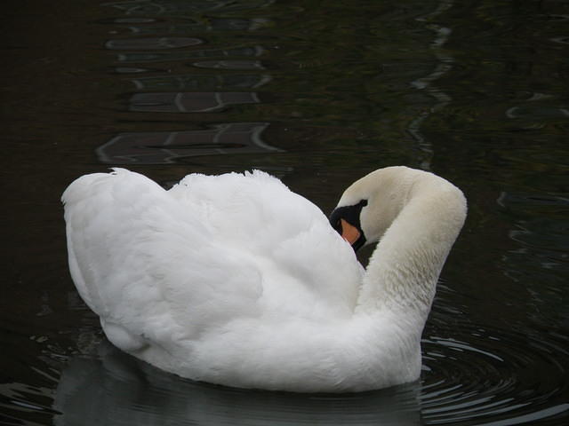 PC040098