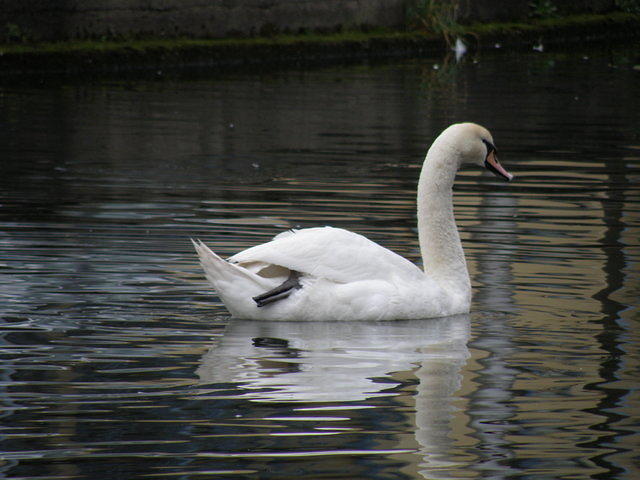 PC040100