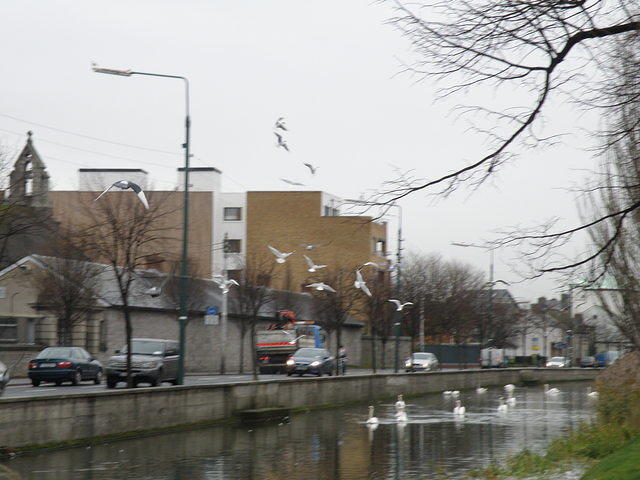 PC040109
