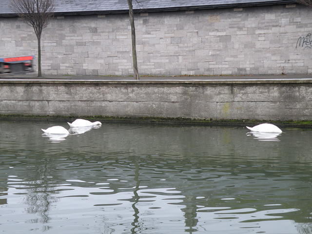 PC040117
