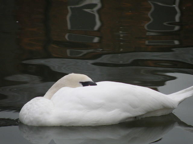PC040118