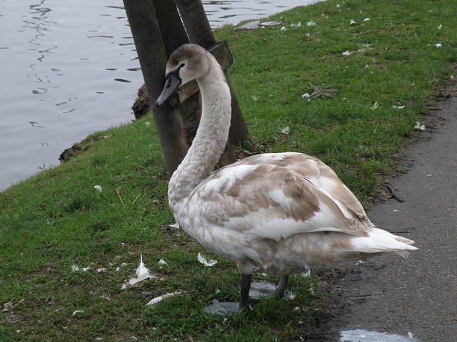 PC040120