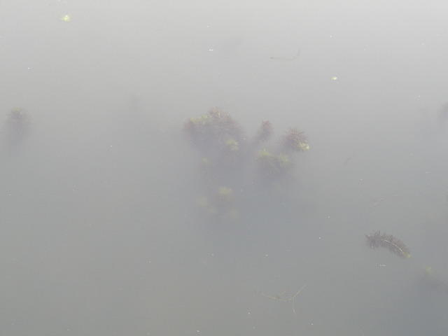 PC040126