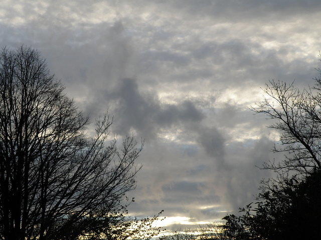 PC040168